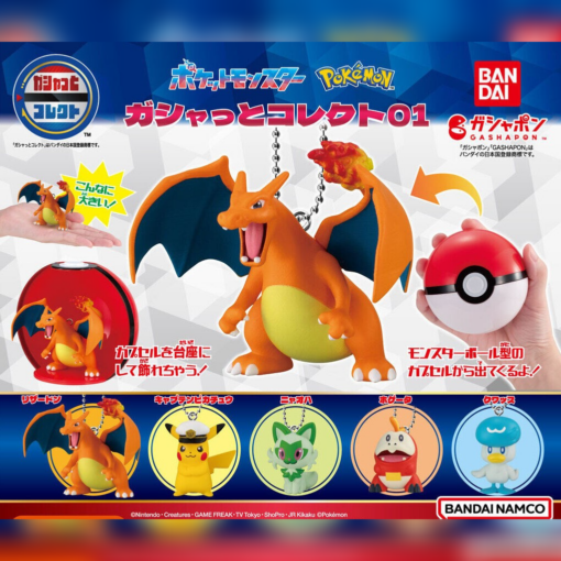 Set 5 Gashapon Pokémon Gashatto Collection Figure (INDIVISIBLE)