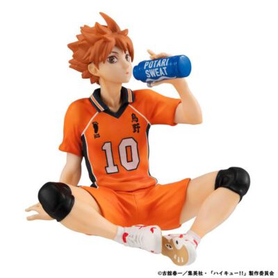 G.E.M. Palmate Hinata Shouyou Tenohira Ver.