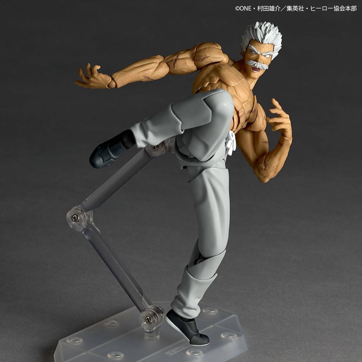 Revoltech Amazing Yamaguchi Silver Fang *Edición Limitada + Bonus* - Imagen 4