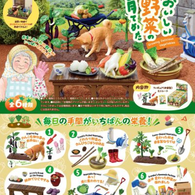 BOX Petit Sample Series Growing Delicious Vegetables (INDIVISIBLE)