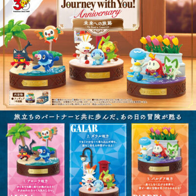 BOX Pokémon Journey with You! Anniversary The Road to Tomorrow (INDIVISIBLE)
