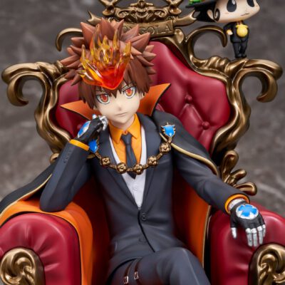 Sawada Tsunayoshi & Reborn